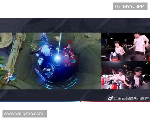 王者荣耀热议TES战队灵活性引发的战术争议与分析