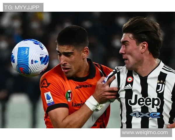 足球gai的魅力与挑战探讨如何在新时代中重塑足球文化与精神