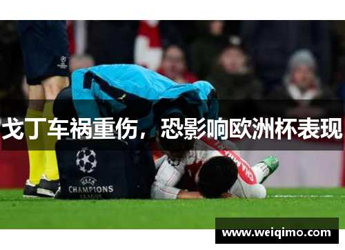 戈丁车祸重伤，恐影响欧洲杯表现