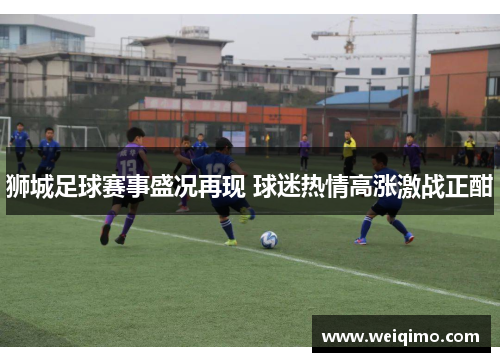 狮城足球赛事盛况再现 球迷热情高涨激战正酣