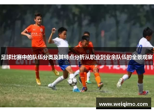 足球比赛中的队伍分类及其特点分析从职业到业余队伍的全景观察