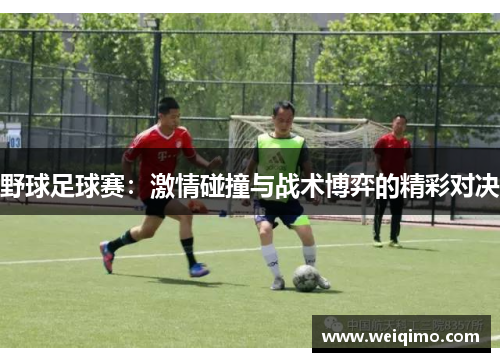 野球足球赛：激情碰撞与战术博弈的精彩对决