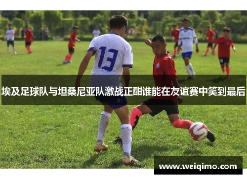 埃及足球队与坦桑尼亚队激战正酣谁能在友谊赛中笑到最后