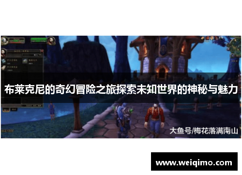 布莱克尼的奇幻冒险之旅探索未知世界的神秘与魅力