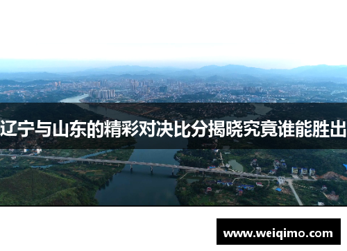 辽宁与山东的精彩对决比分揭晓究竟谁能胜出