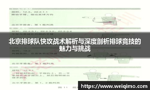 北京排球队快攻战术解析与深度剖析排球竞技的魅力与挑战