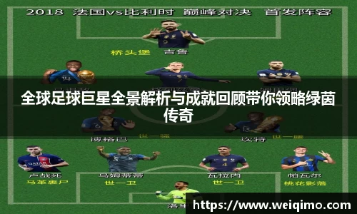 全球足球巨星全景解析与成就回顾带你领略绿茵传奇