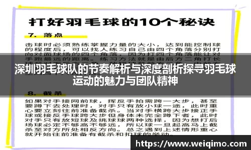 深圳羽毛球队的节奏解析与深度剖析探寻羽毛球运动的魅力与团队精神