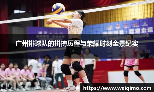 广州排球队的拼搏历程与荣耀时刻全景纪实